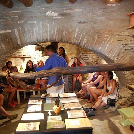 Cyclades Olive Museum'S Guest House Pitrofos Экстерьер фото