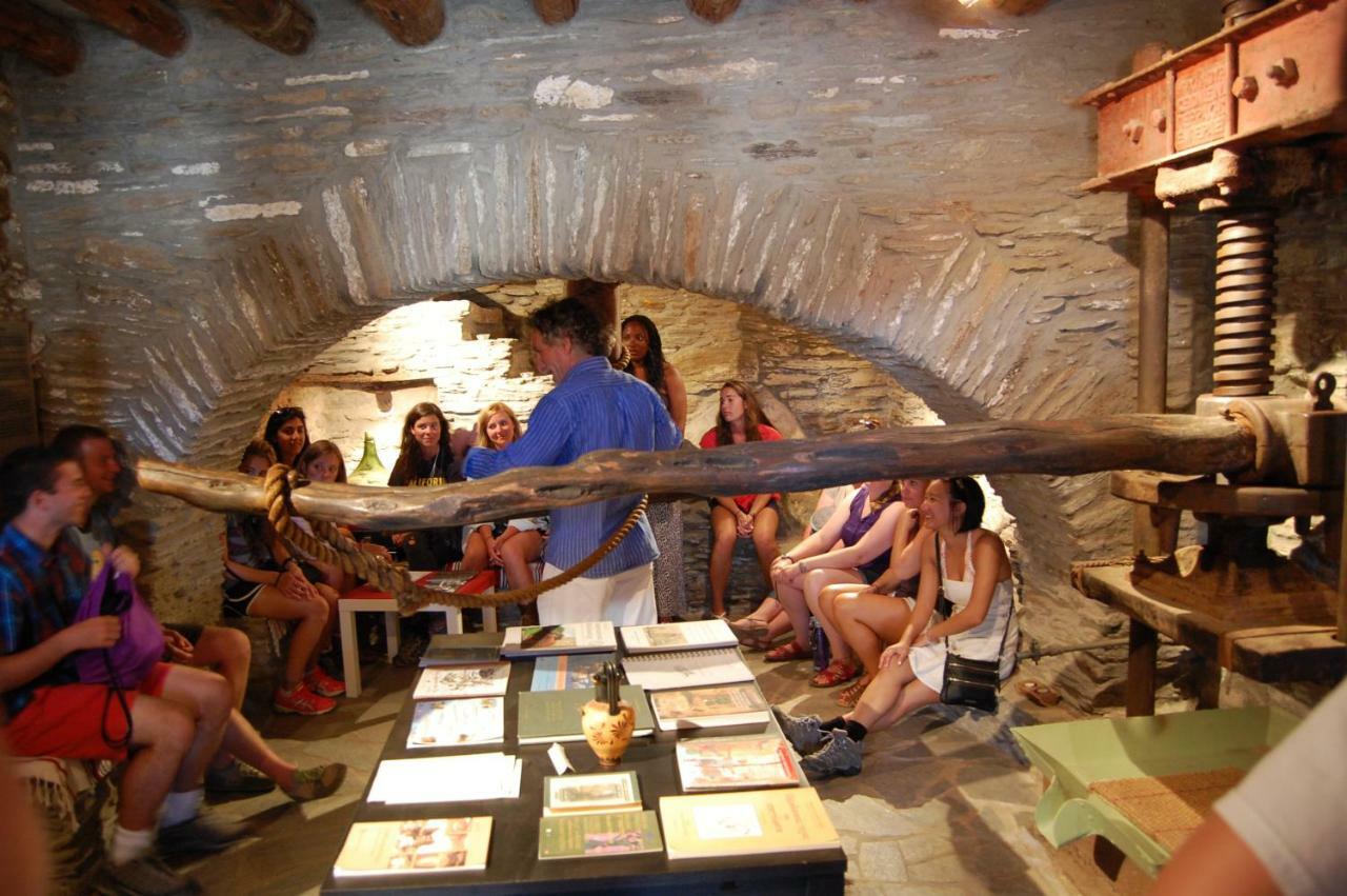 Cyclades Olive Museum'S Guest House Pitrofos Экстерьер фото